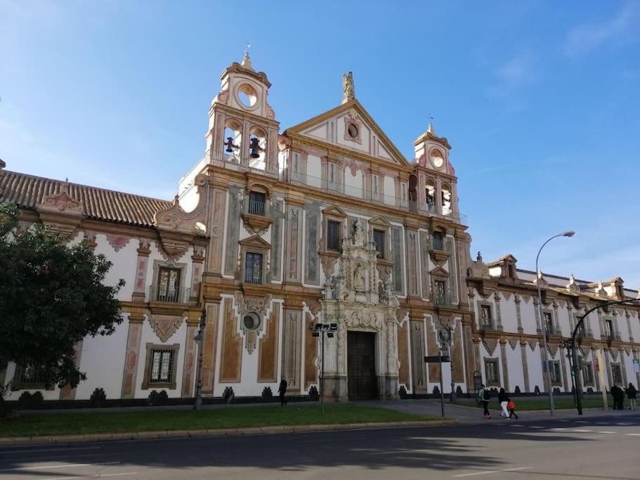Trotamundos, Nuevo En El Centro