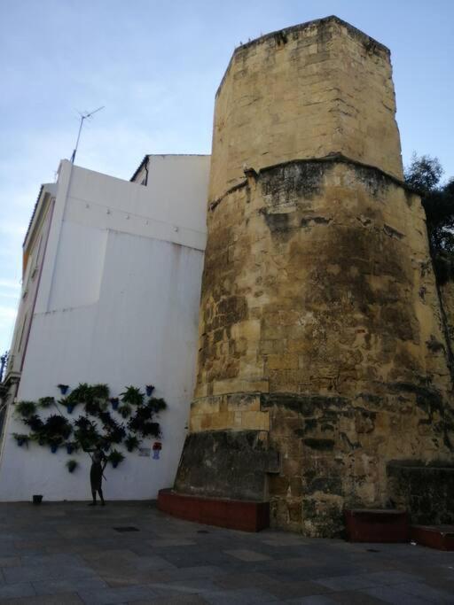 Trotamundos, Nuevo En El Centro
