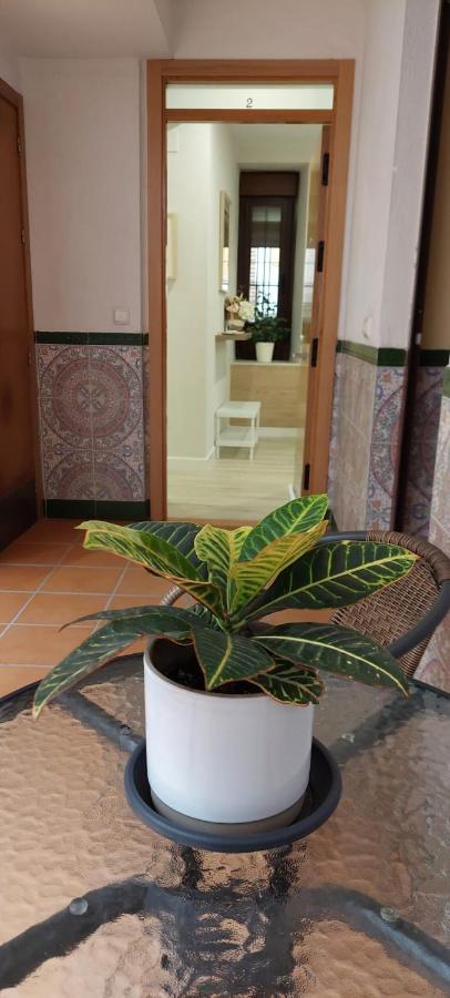 Apartamento Cordvba Osario Centro