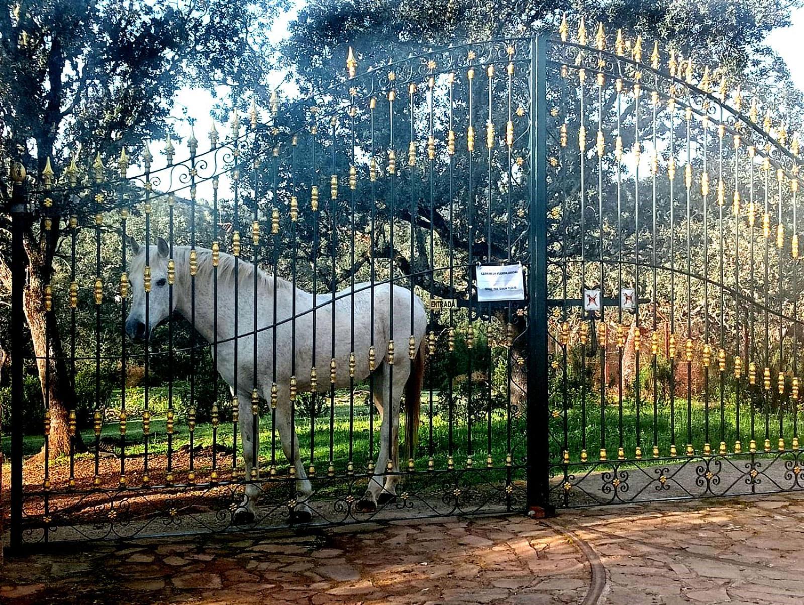 Casa Rural Hacienda El Lago Сasa de vacaciones Córdoba