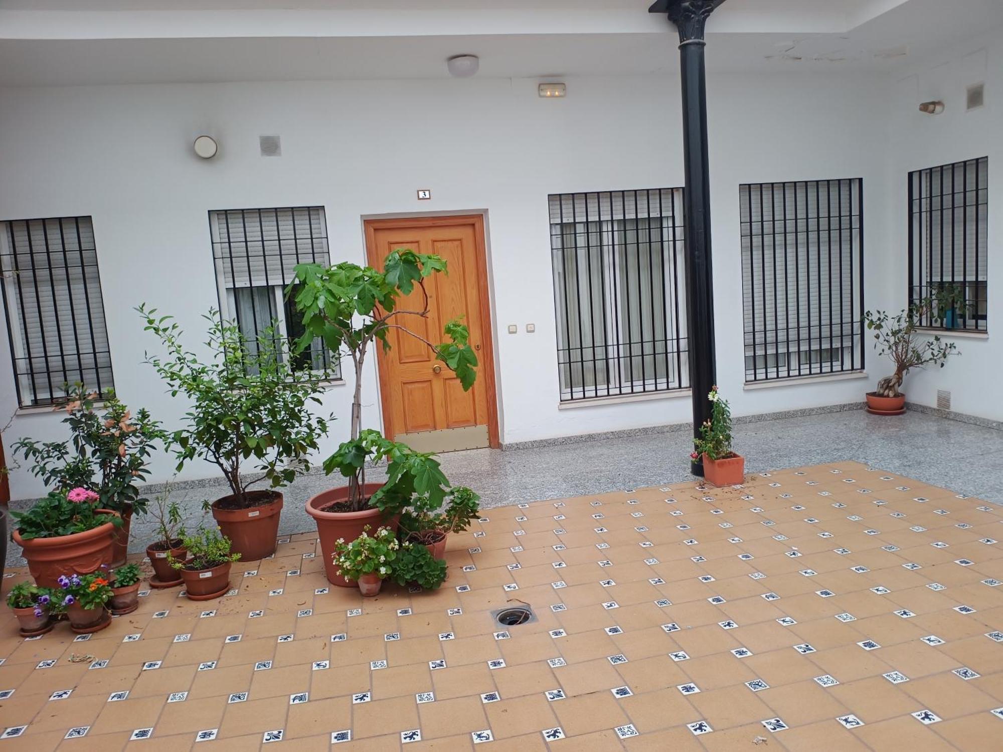 Apartamento Sunshine Fernando Colon