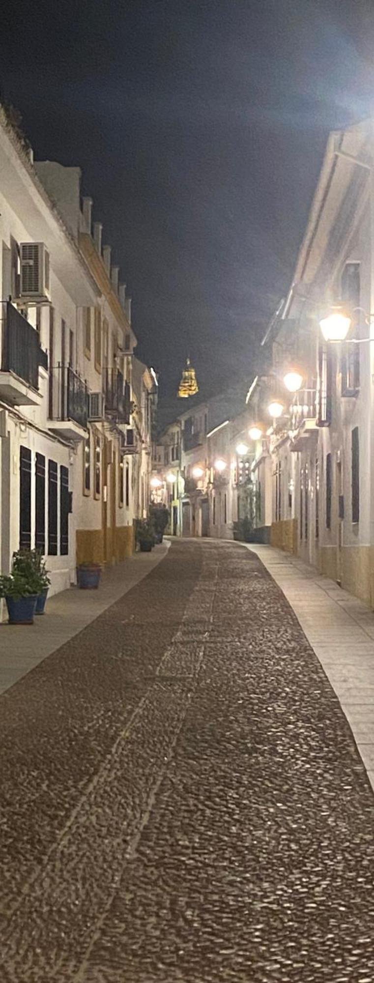 Apartamento Enmitatiko Alcazar Viejo