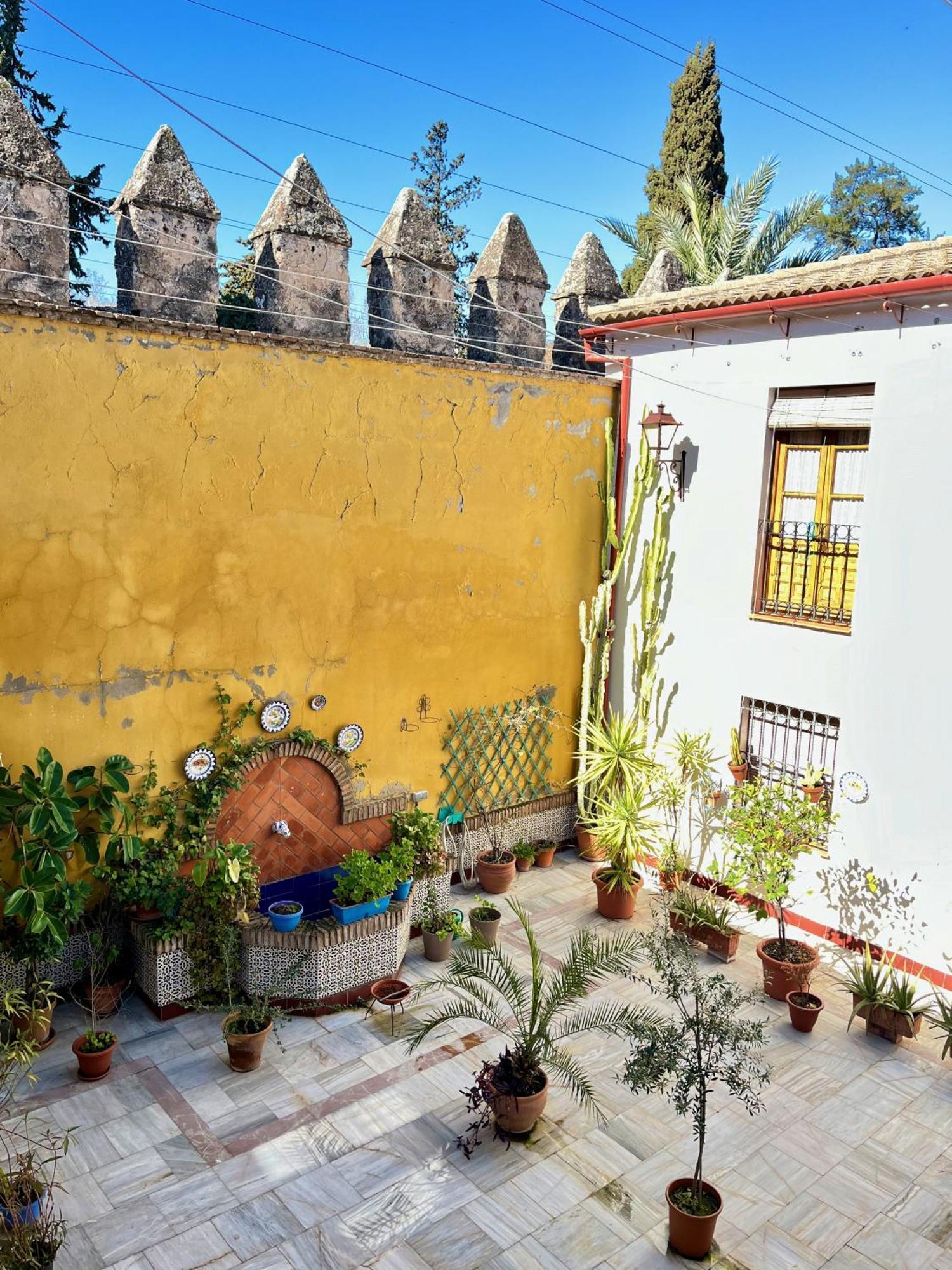 Apartamento El Patio De Wallada Córdoba