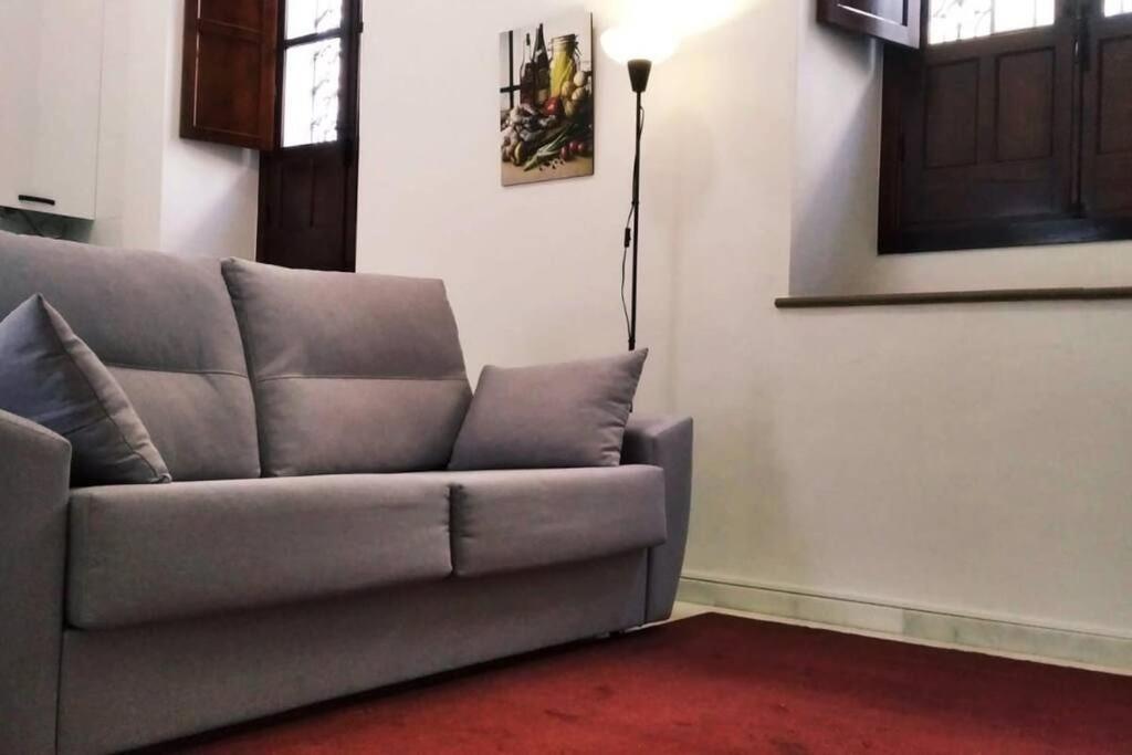 Apartamento Disfruta De La Historica