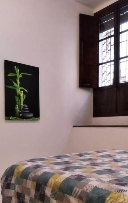 Apartamento Disfruta De La Historica *