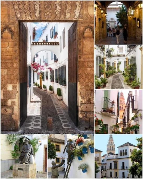 Centrico En El Casco Historico De Apartamento *