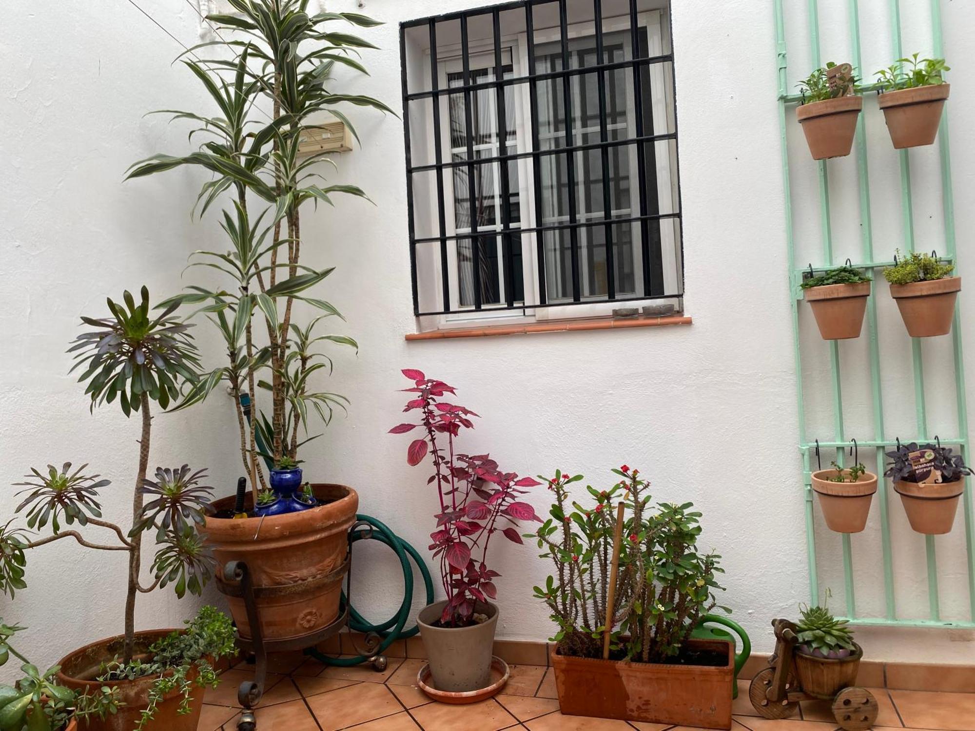 Apartamento Enmitatiko Alcazar Viejo