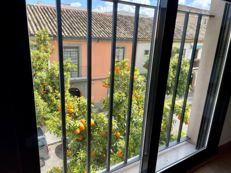 El Balcon De Naranjos Cordoba