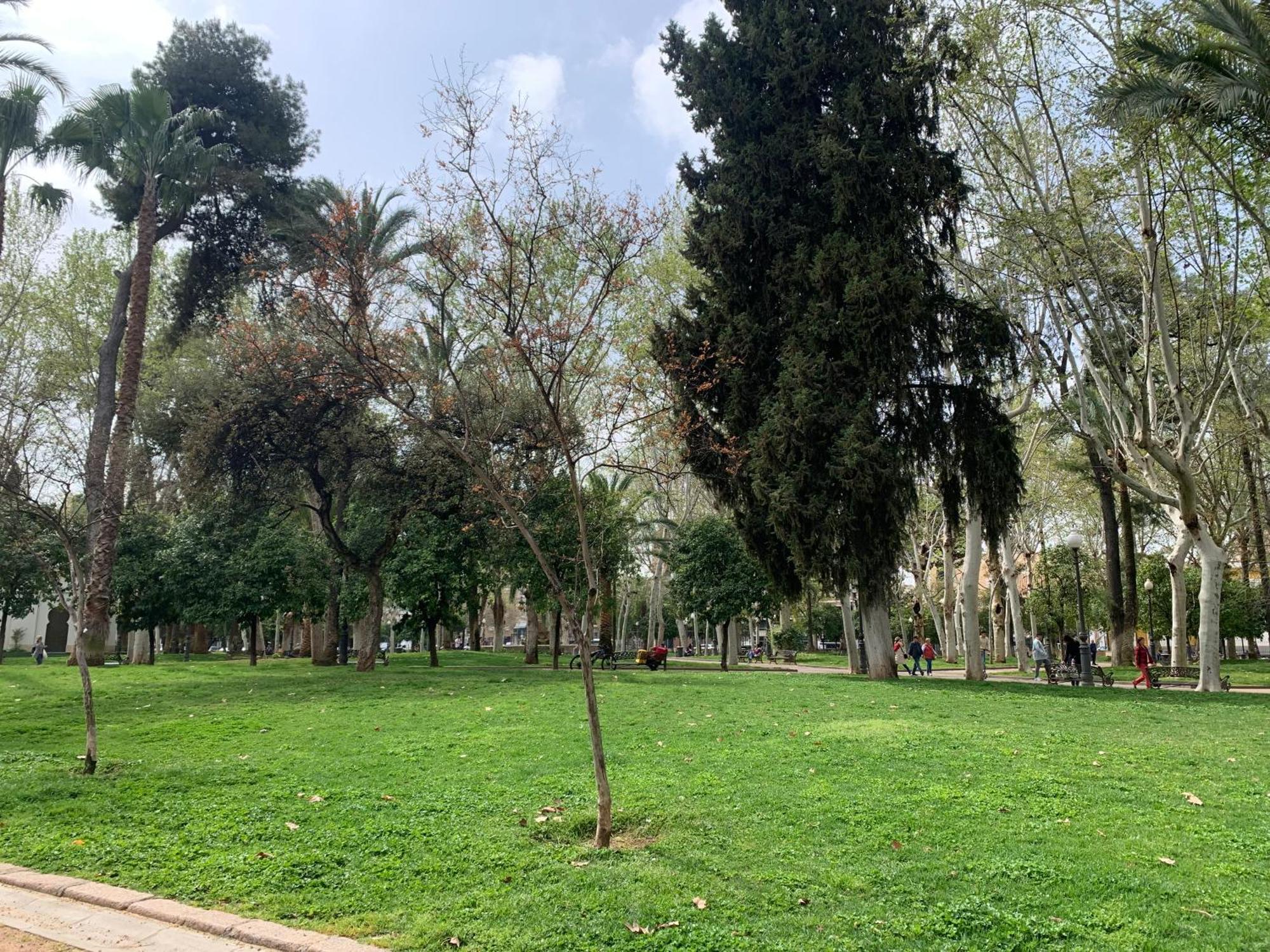 Apartamento Bonito, Centrico, Fresco Y Tranquilo En Santa Marina