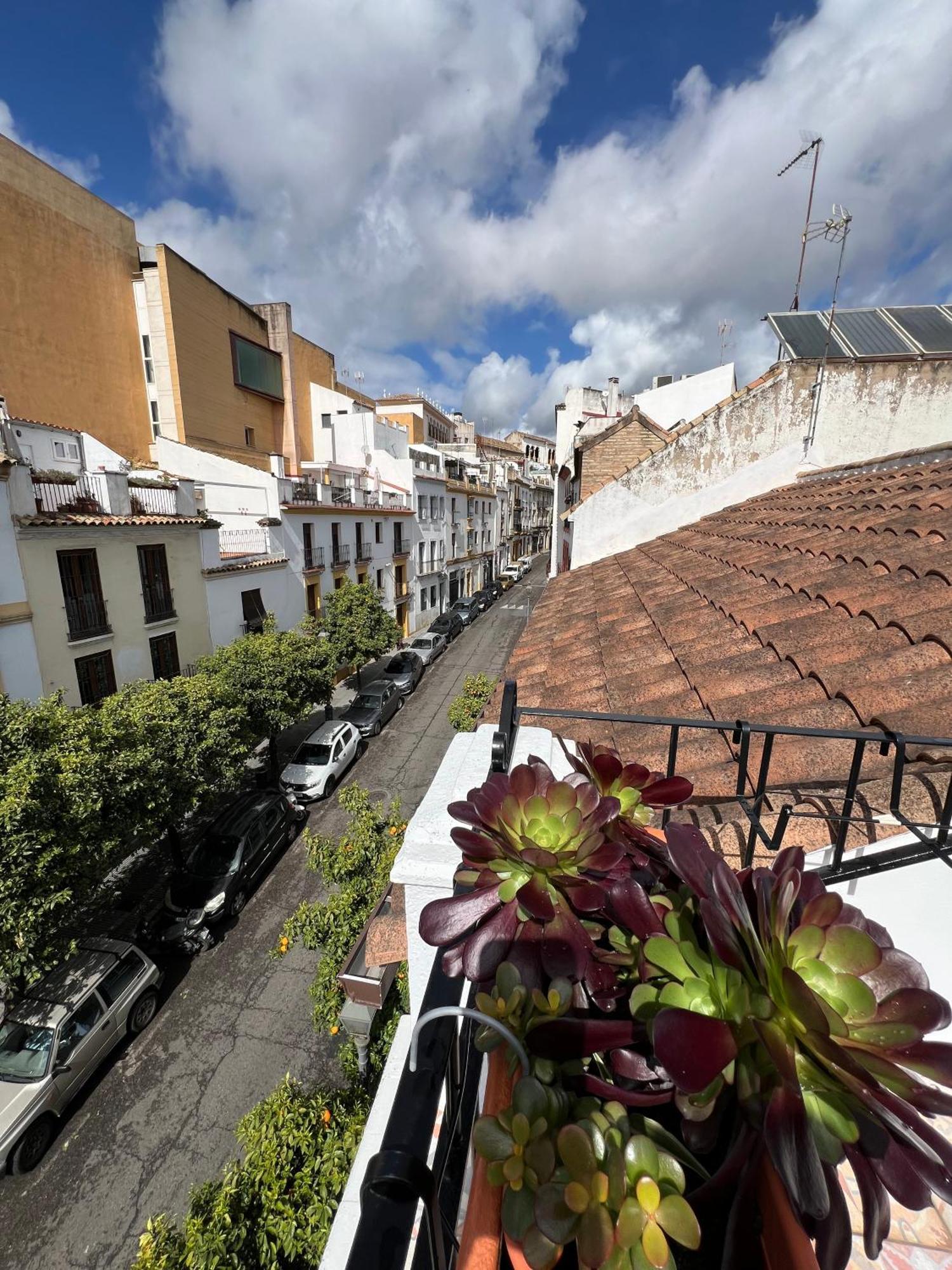 San Fernando 33 Holiday home *