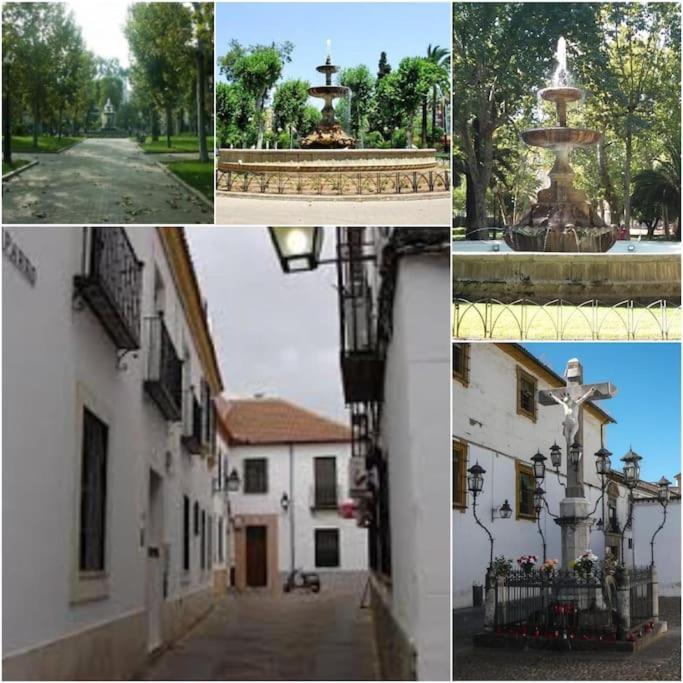 Centrico En El Casco Historico De * Córdoba