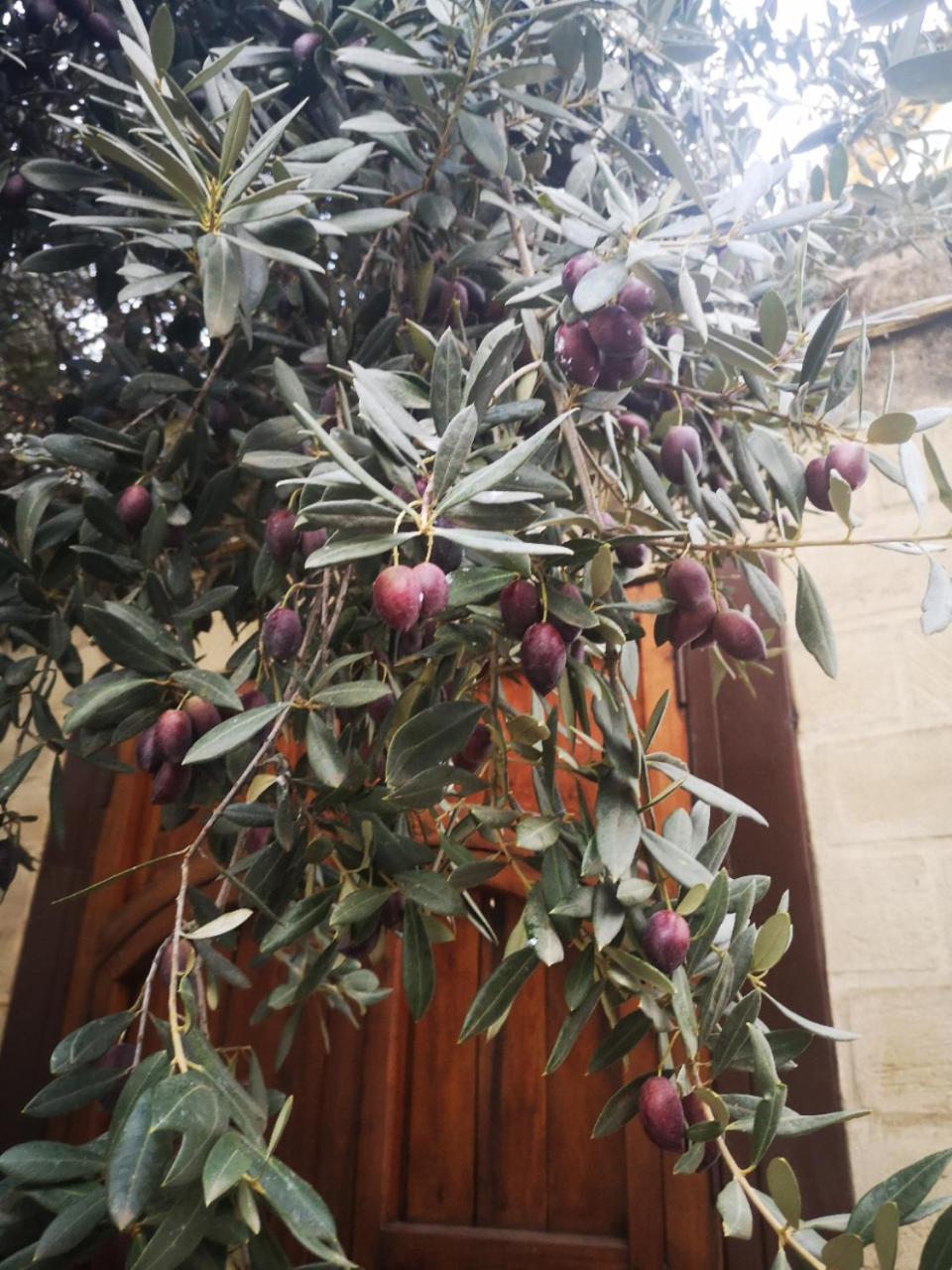 La Llave De La Judería Boutique Hotel Córdoba