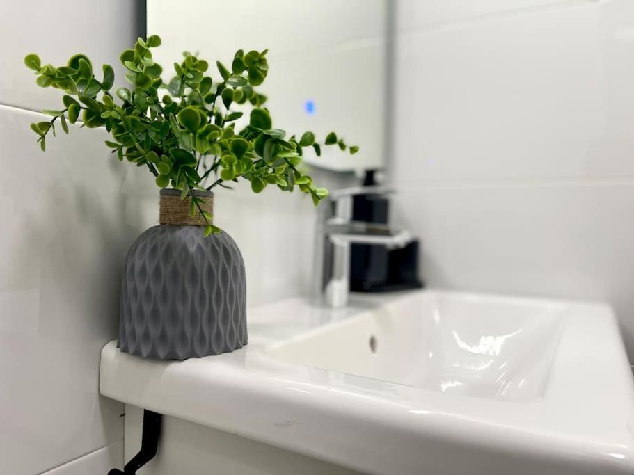 Elegancia Junto Al Rectorado. Apartamento Córdoba