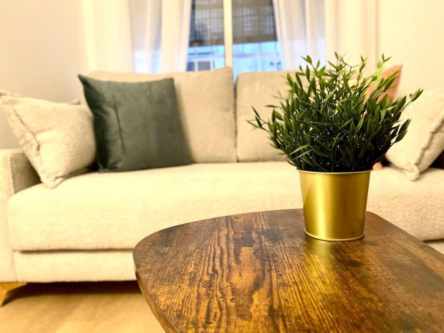 Elegancia Junto Al Rectorado. Apartamento