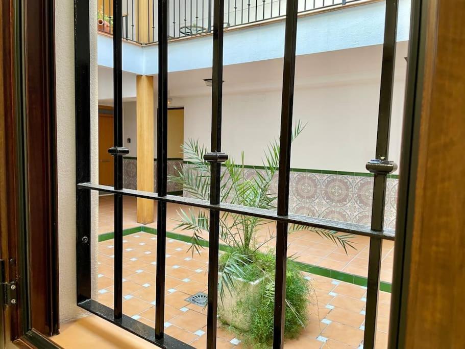 El Geranio Córdoba