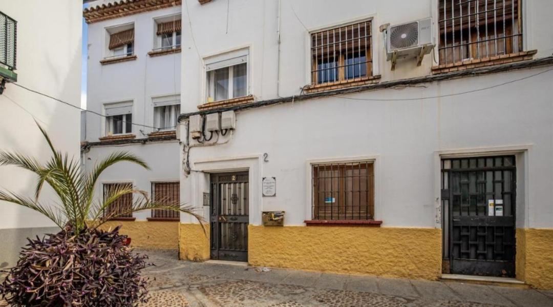 Apartment Trotamundos, Nuevo En El Centro