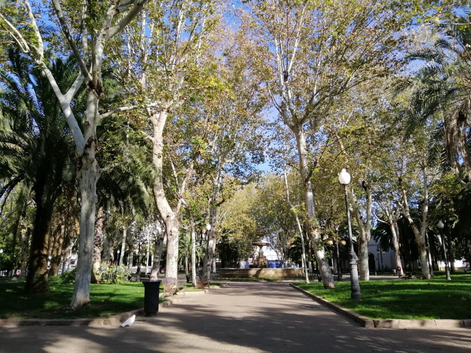 Apartment Trotamundos, Nuevo En El Centro Cordoba