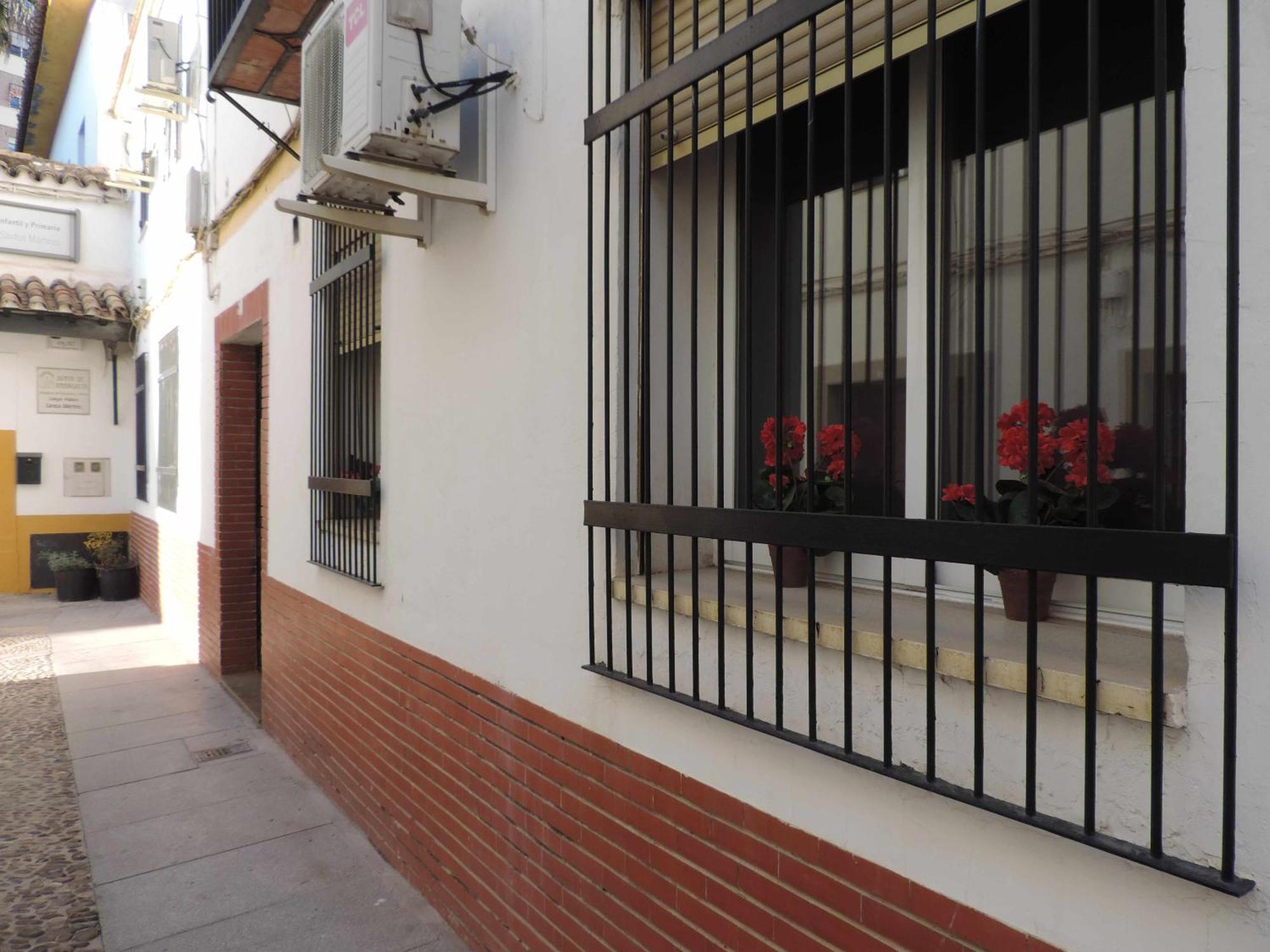 Despertar En San Basilio *