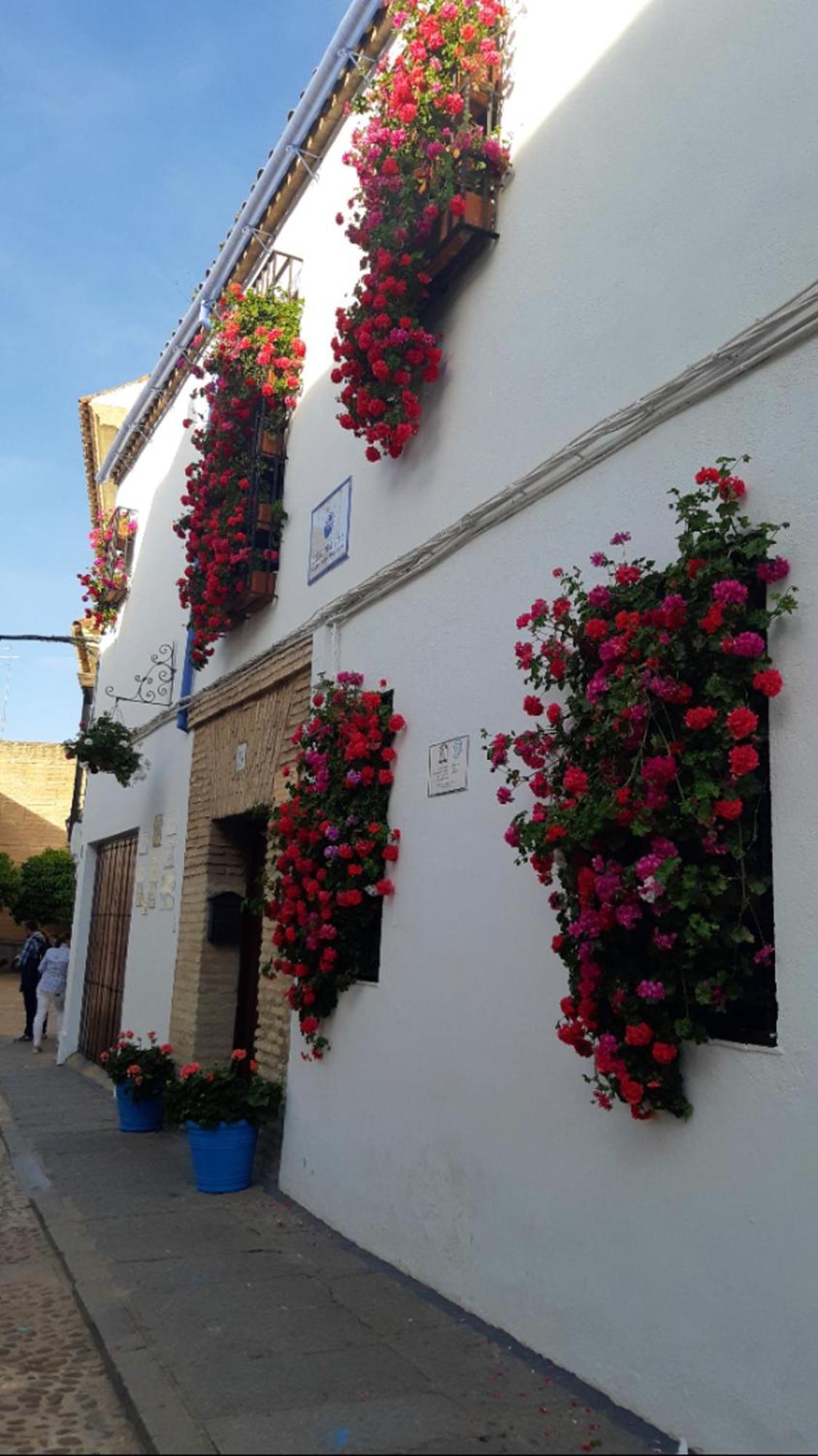 Apartamento Apartamento En Barrio San Basilio *