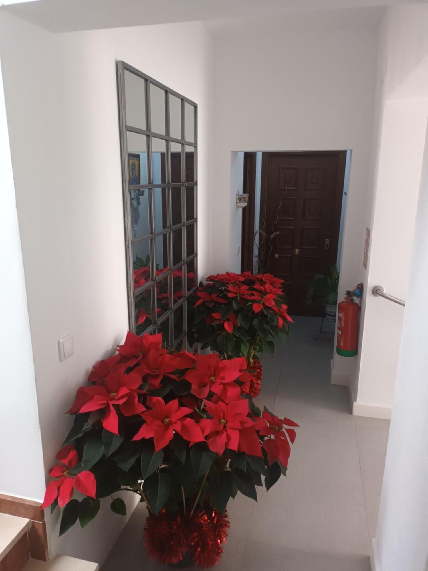 Apartamento Casa San Mateo