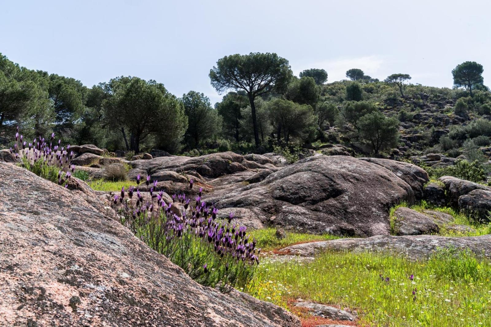 Casa El Oasis Del Rural
