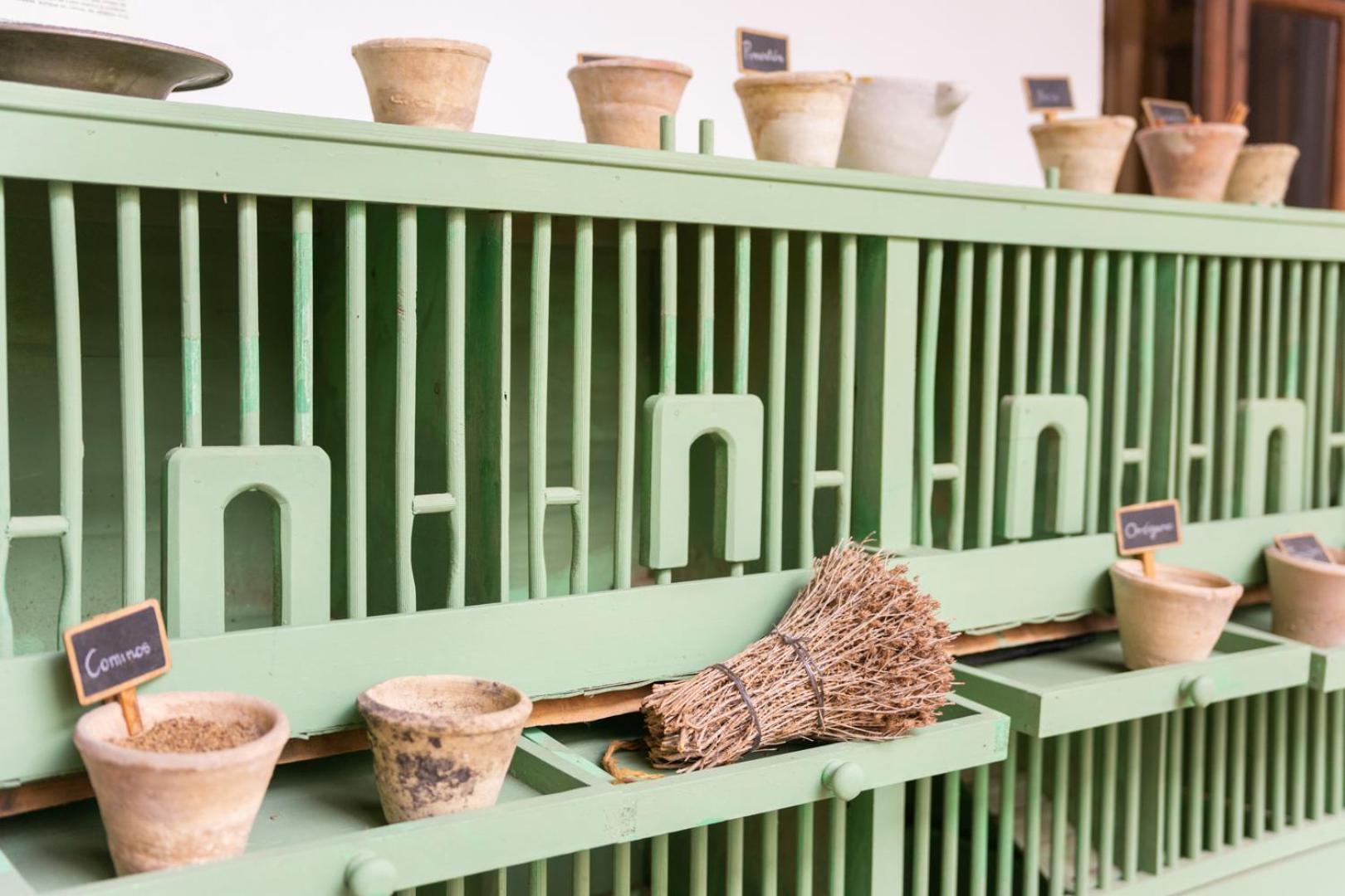 Historic Open House Apartamento