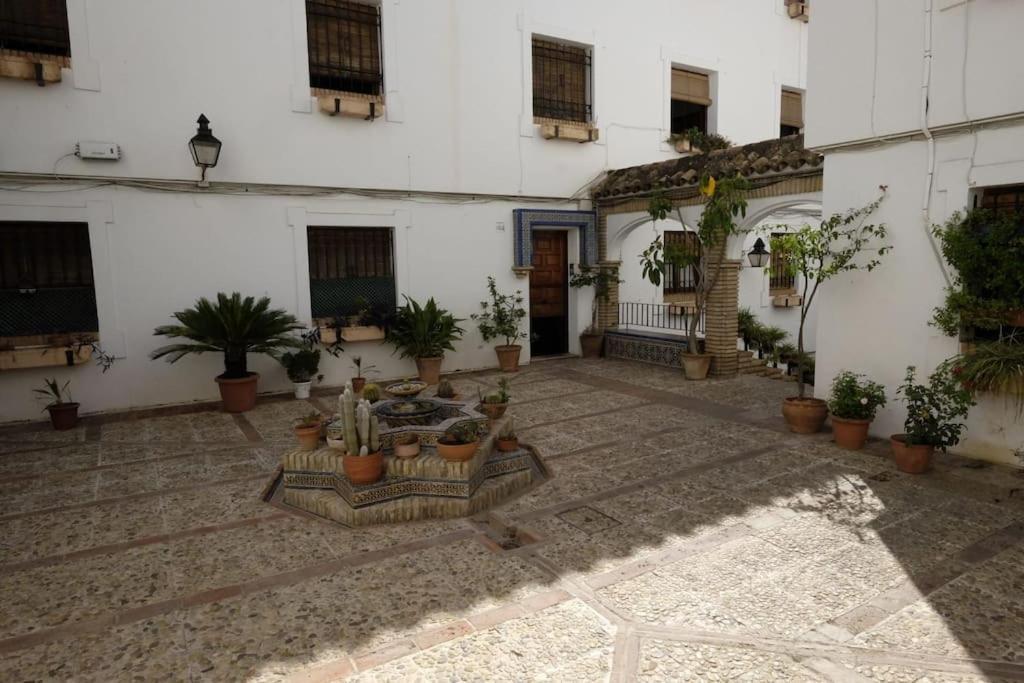 Medina Paradise Cordoba