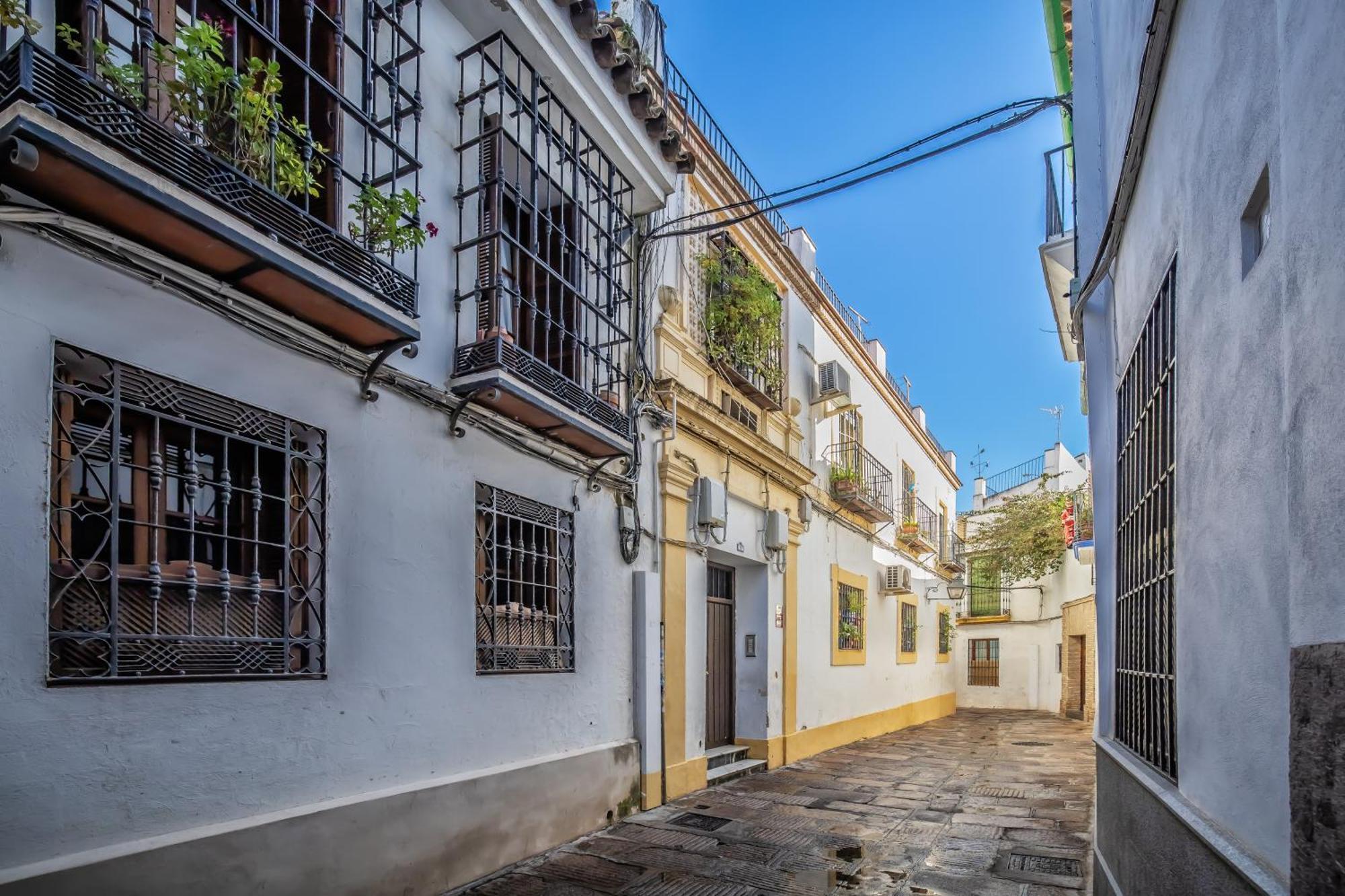 Rosas En La Balconada Córdoba