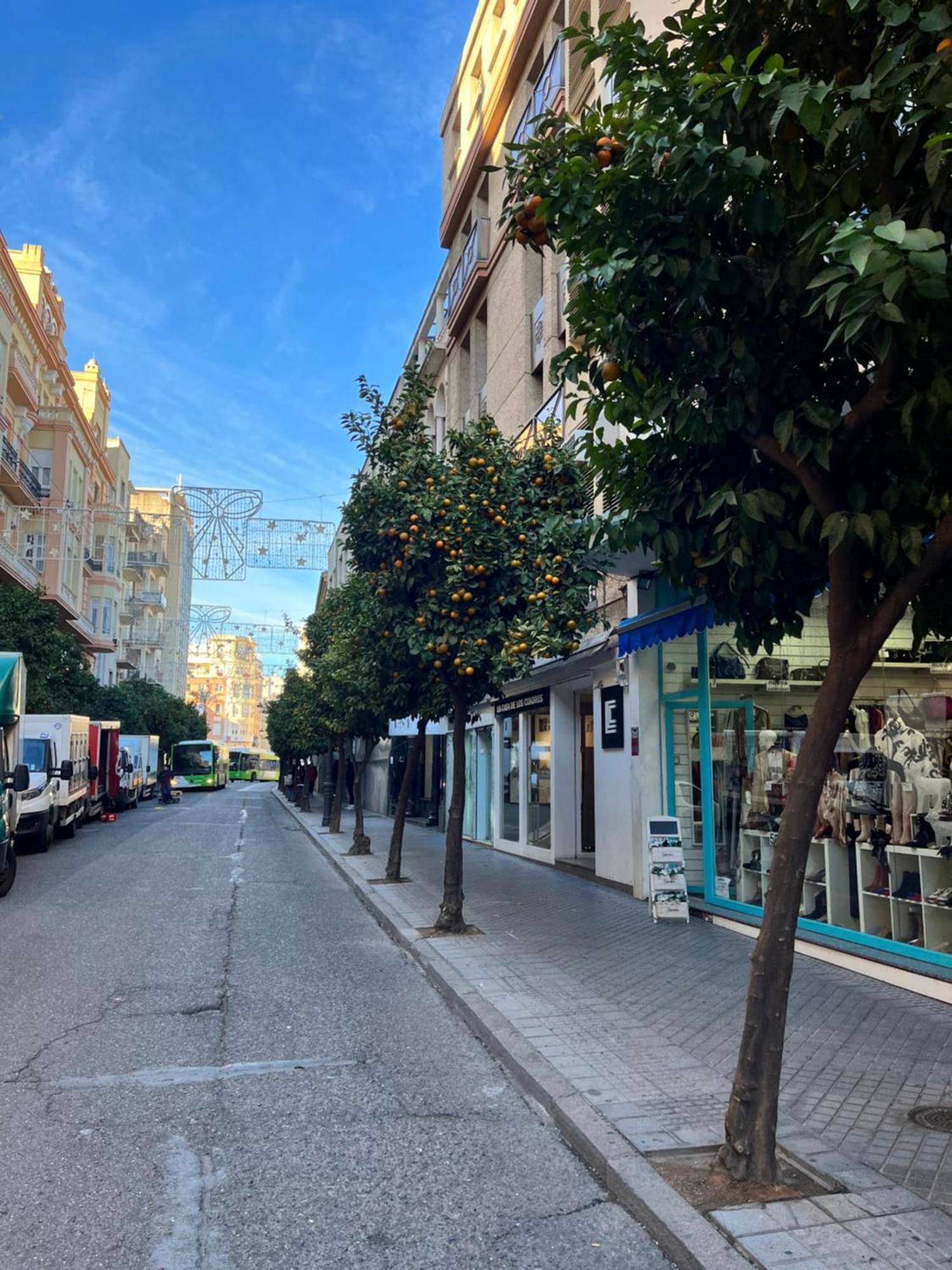 Azonaicas * Córdoba