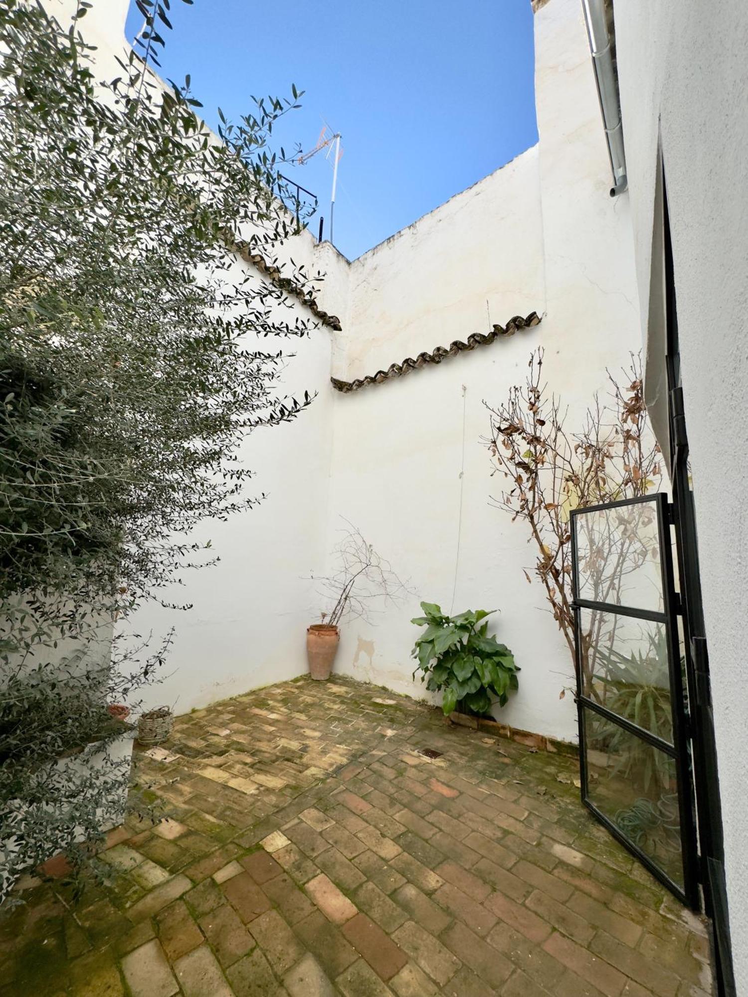 Ds Palacio De La Luna
