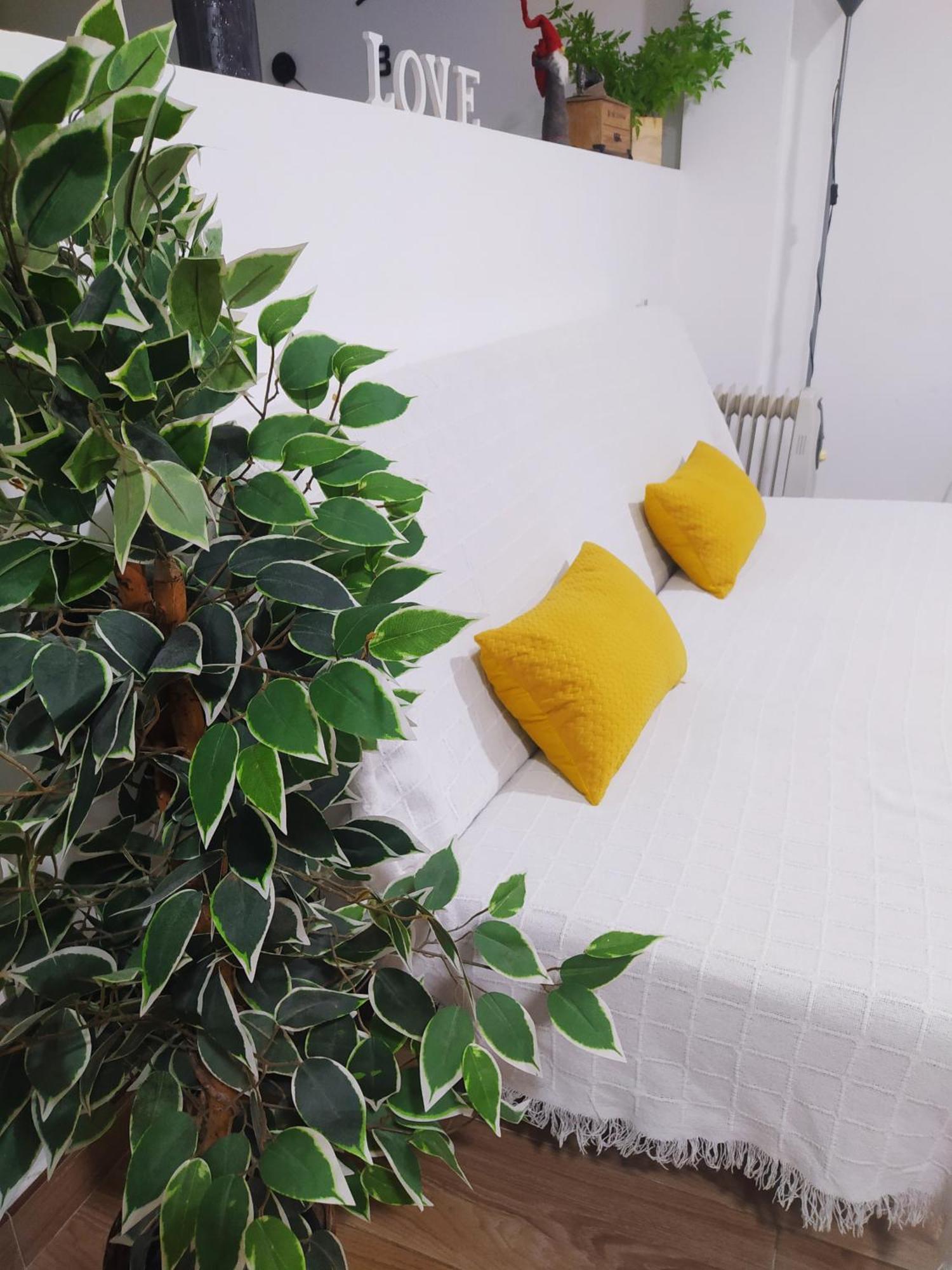 Loft La Magdalena * Cordoba