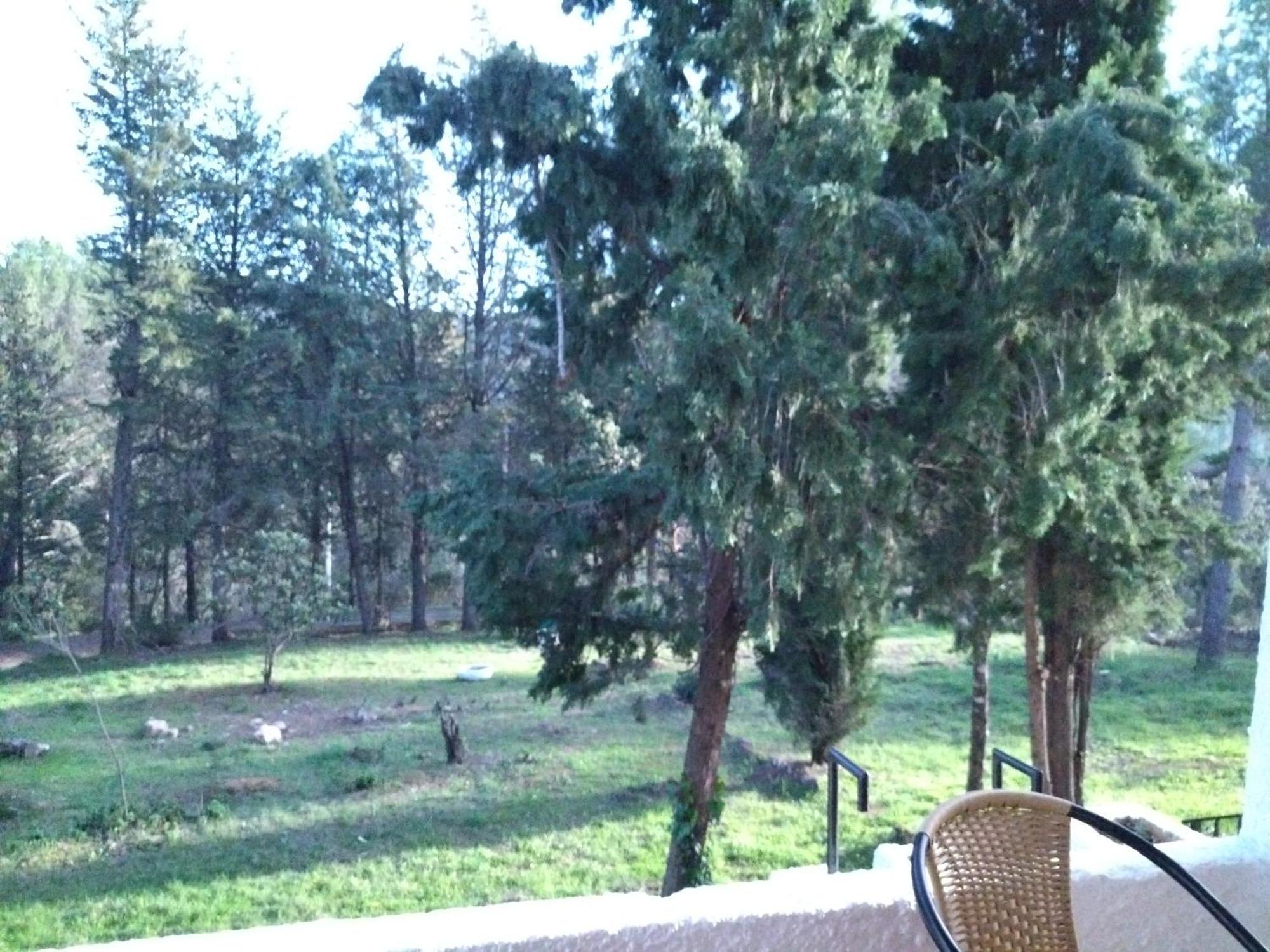 Bonita Casa Blanca En El Bosque.