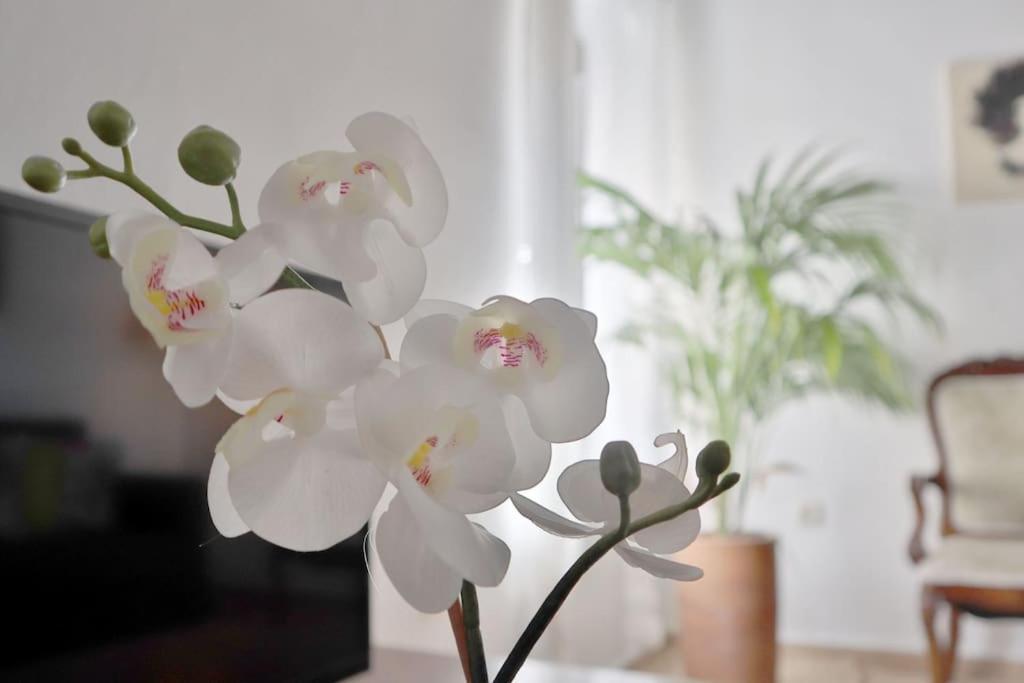 Apartment La Juderia I