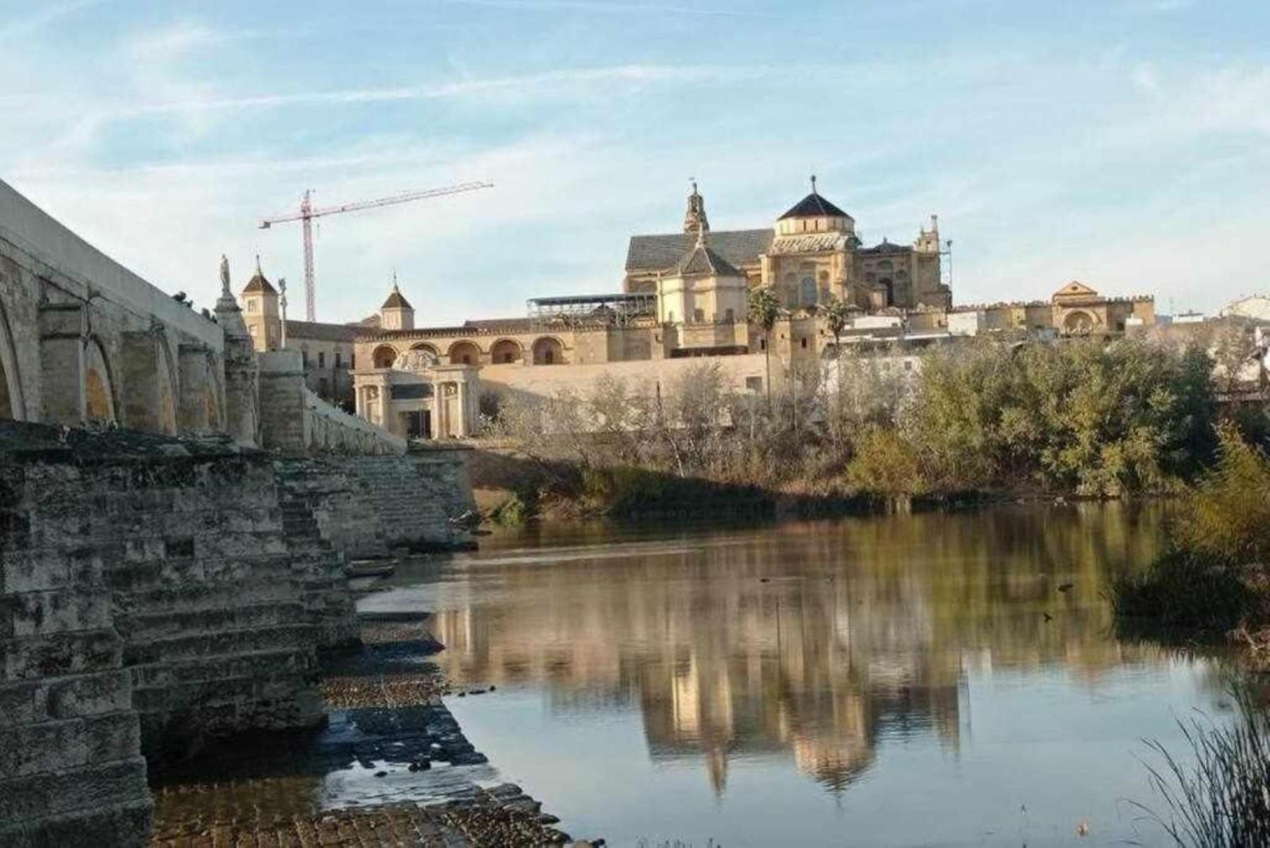 Loft El Arcángel Córdoba