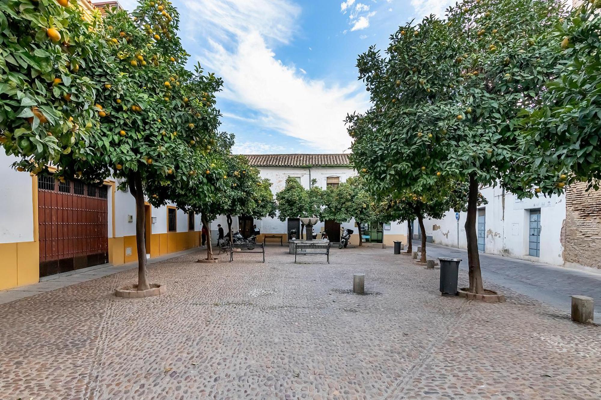 Apartamento El Yayo Pepe