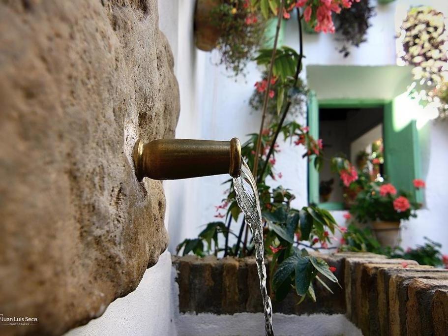 La Casa De La Costurera Córdoba