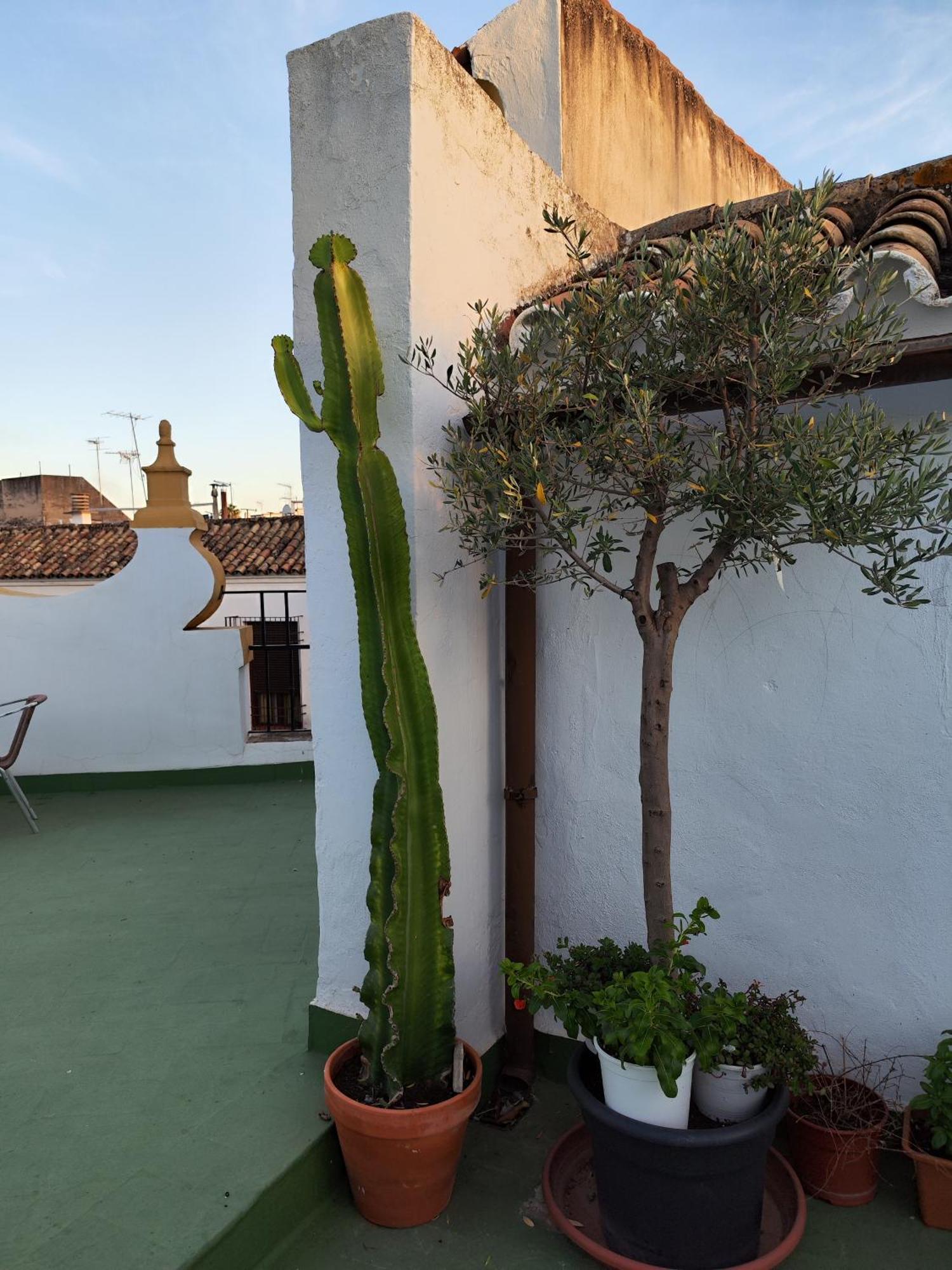 Casa Paliani Сasa de vacaciones *