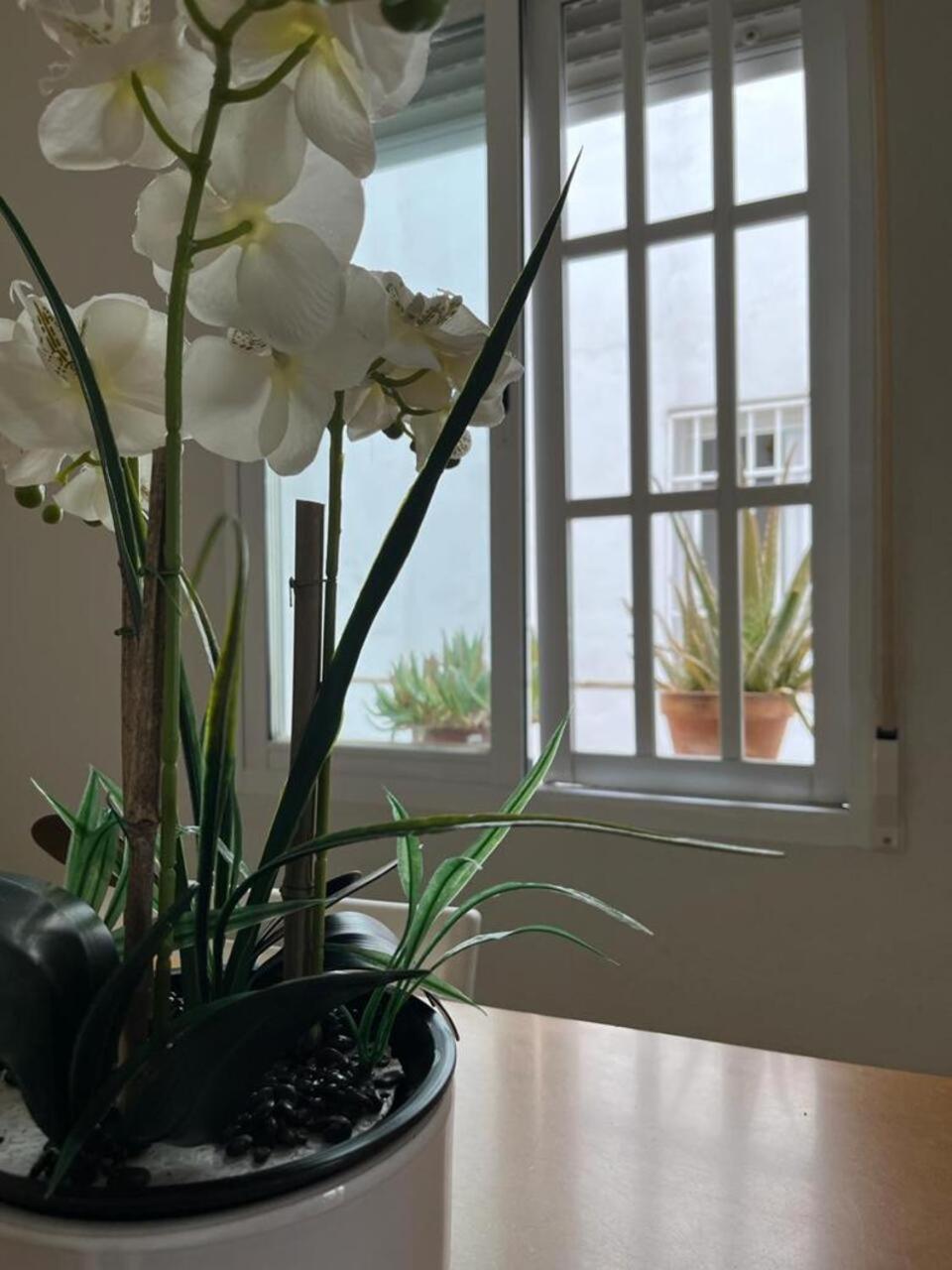 Apartamento El Balcon De La Torre