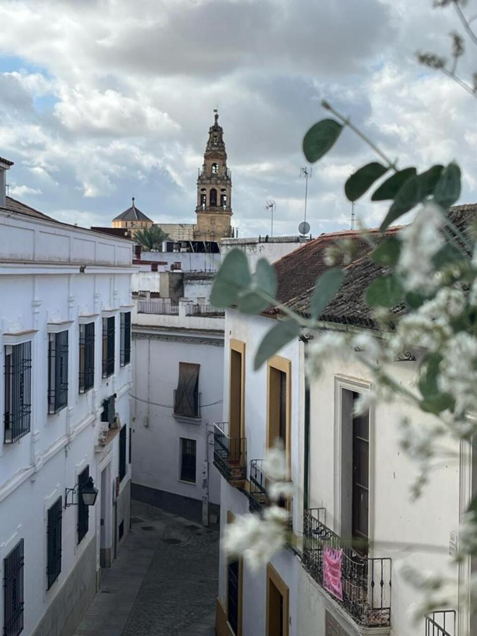 El Balcon De La Torre * Cordoba