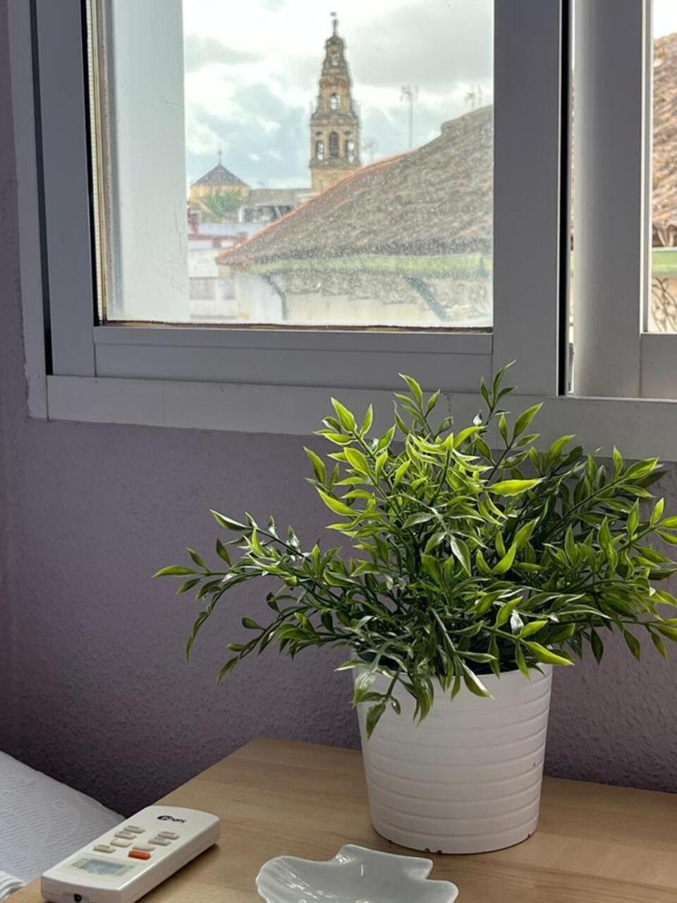 El Balcon De La Torre Apartment