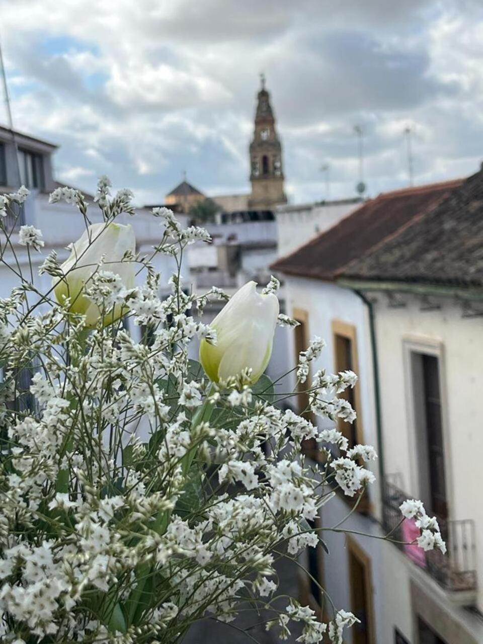 Apartamento El Balcon De La Torre *
