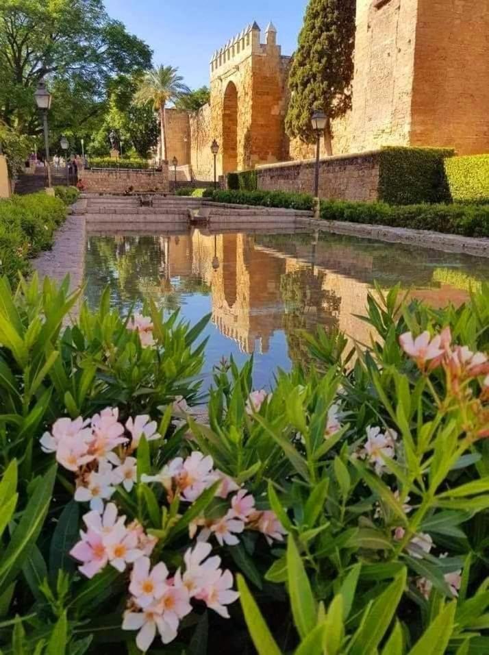 La Marquesa Córdoba