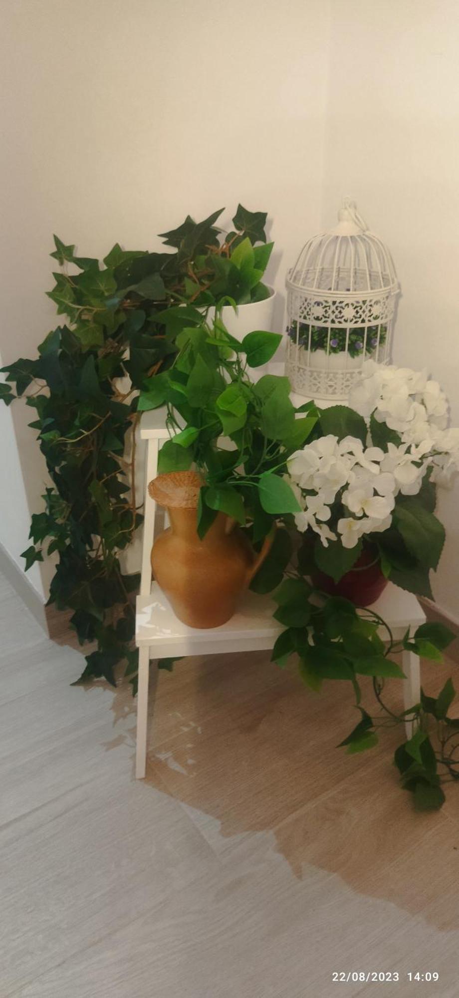Puerta Sevilla Parking Gratis Apartment Cordoba