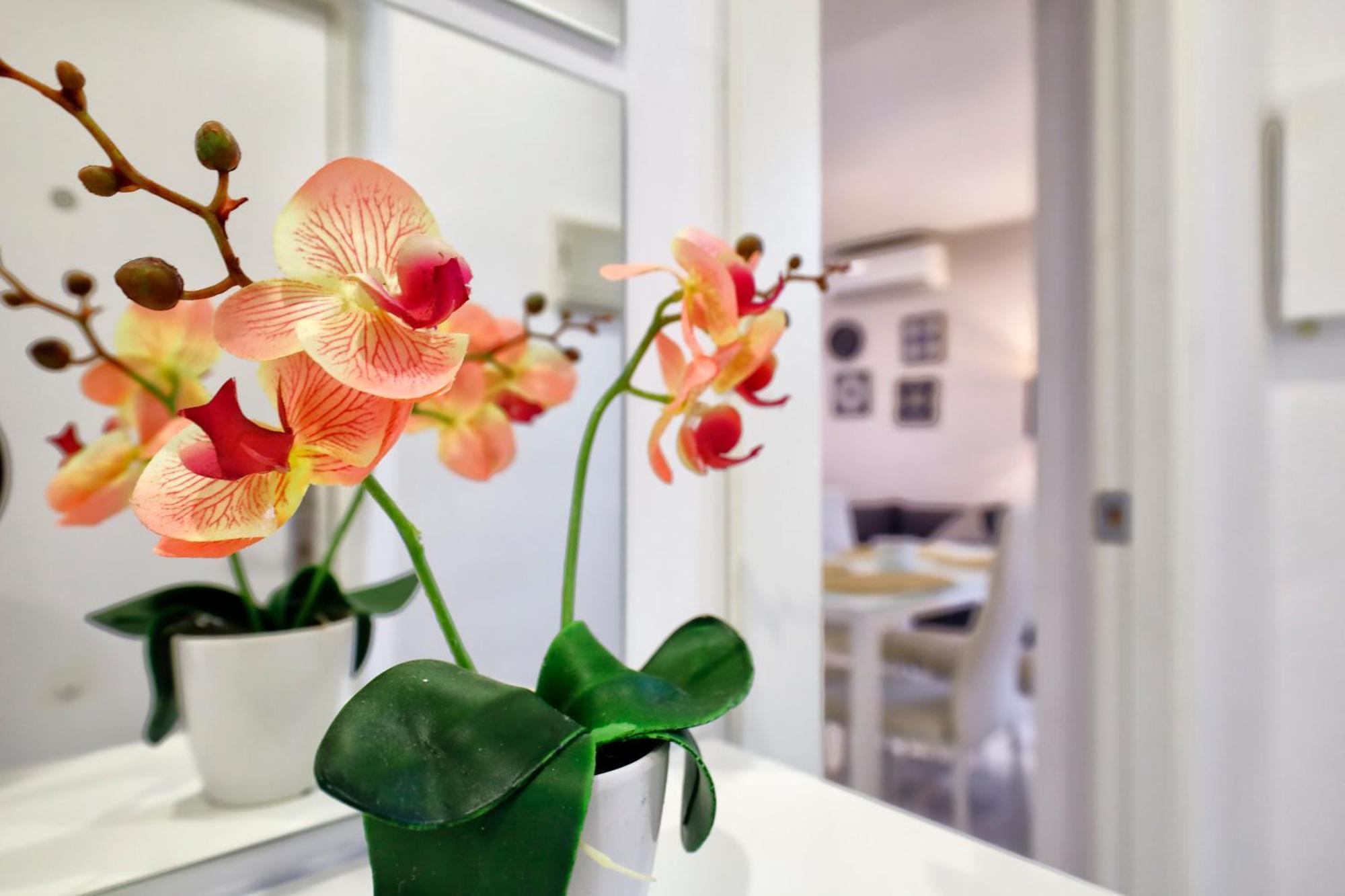 Encanto En La Juderia: Con Patio Apartment