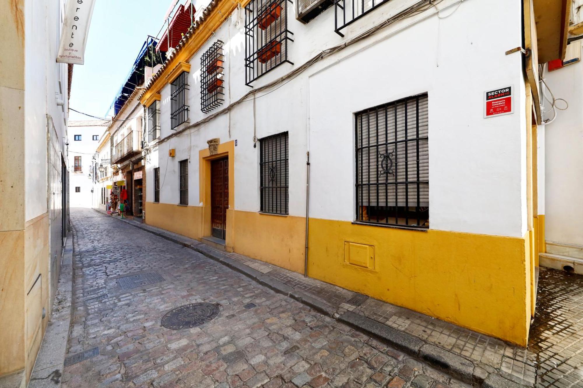 Encanto En La Juderia: Con Patio Apartment *