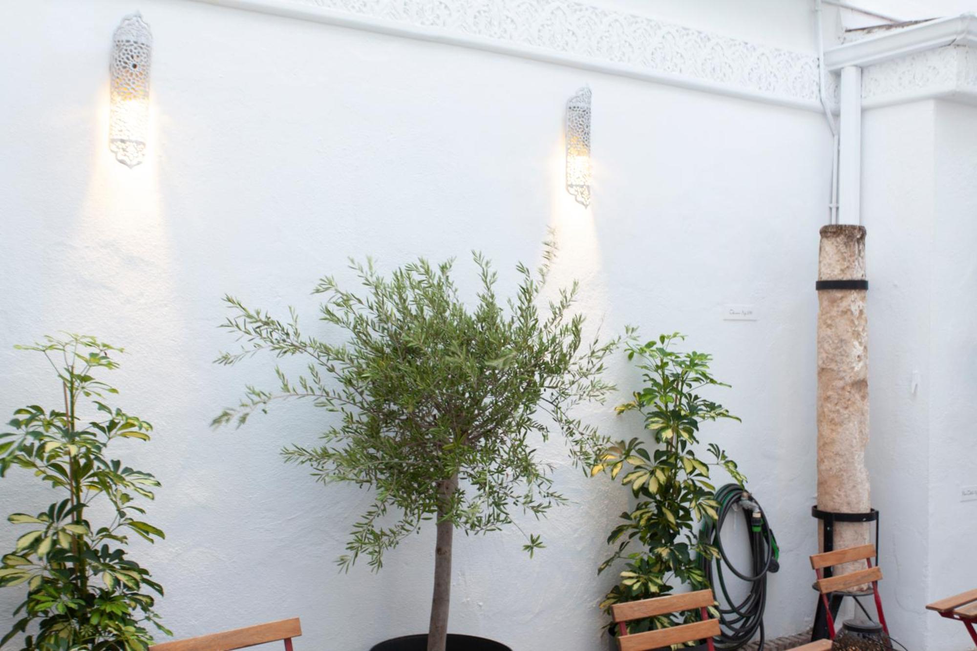 Altabib Riad *