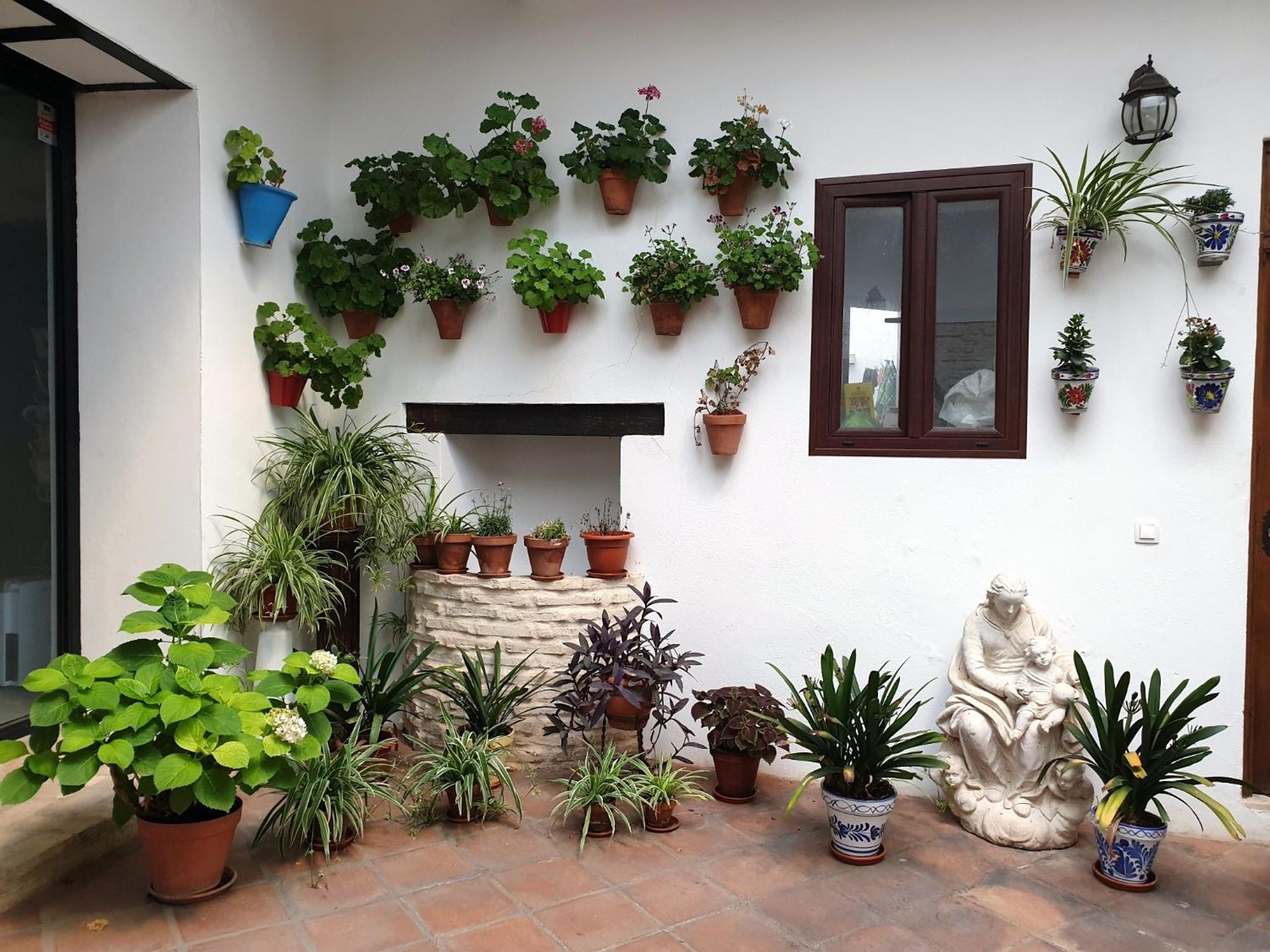 Apartamento Entre Patios Y Flores