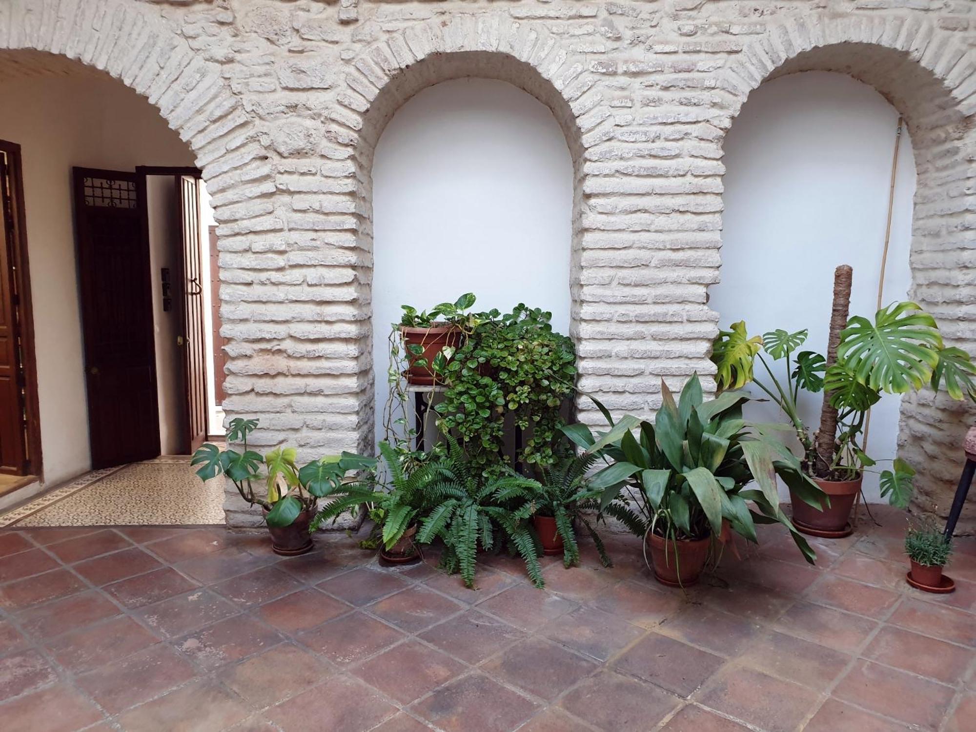 Entre Patios Y Flores Córdoba