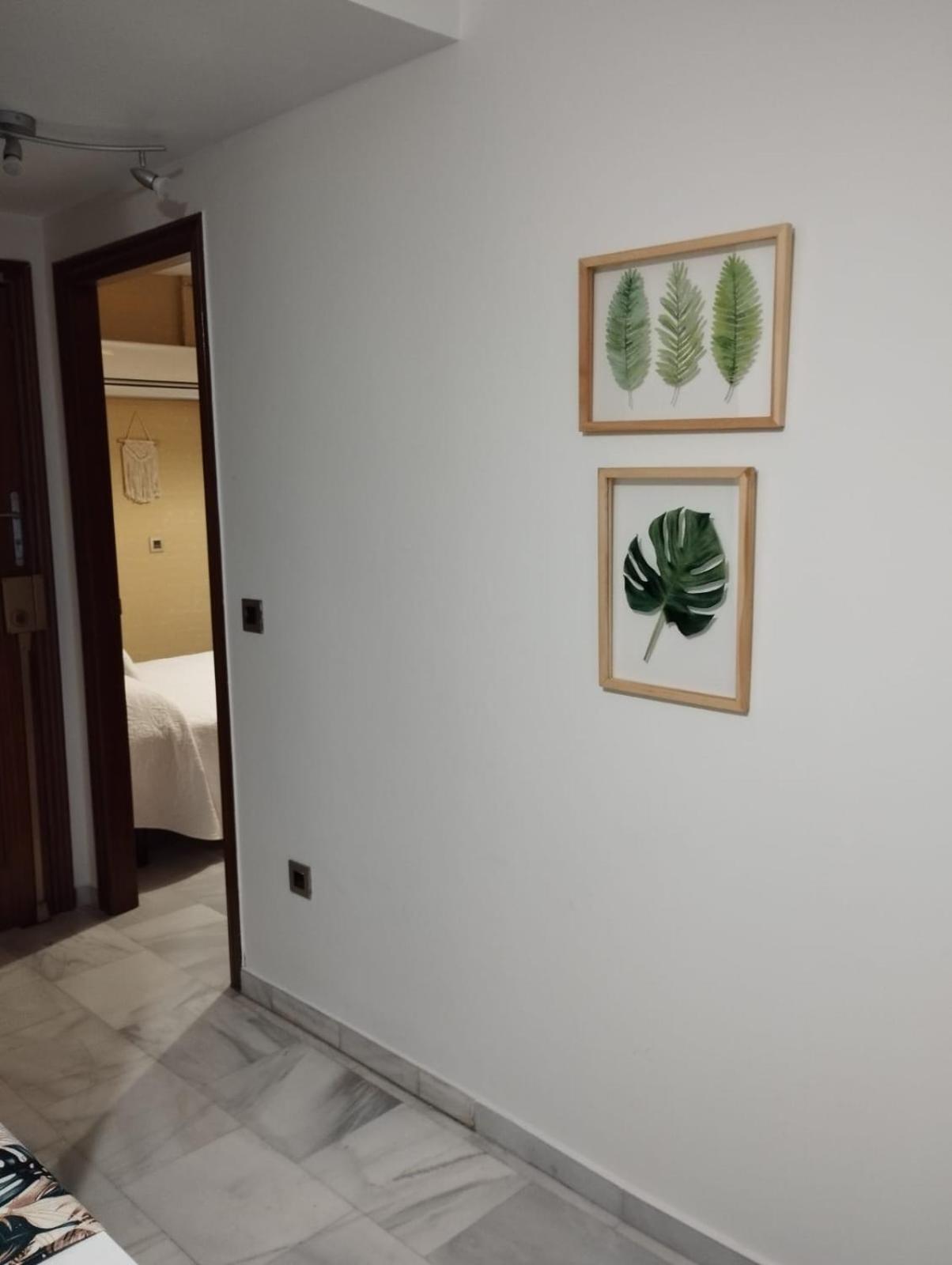Apartamento Patios Con Encanto