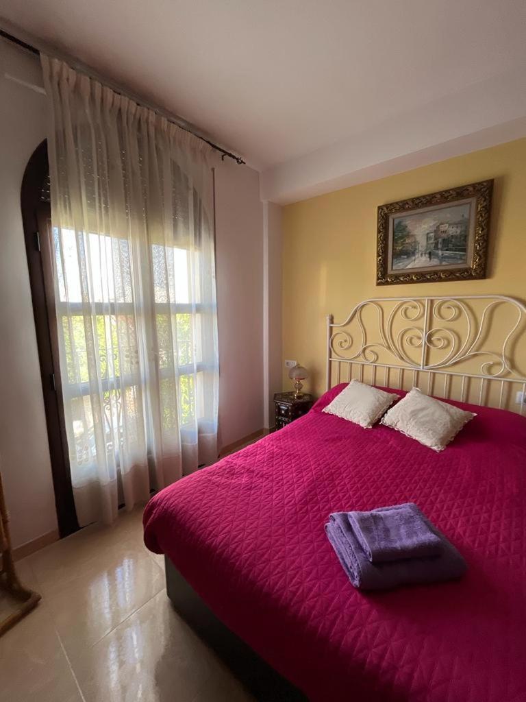 Hostel Alyana